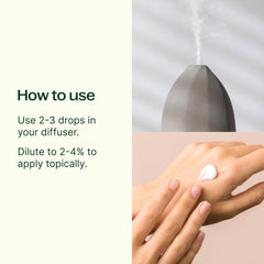 Plant Therapy Cypress Essential Oil diffusing in a room with fresh evergreen aroma