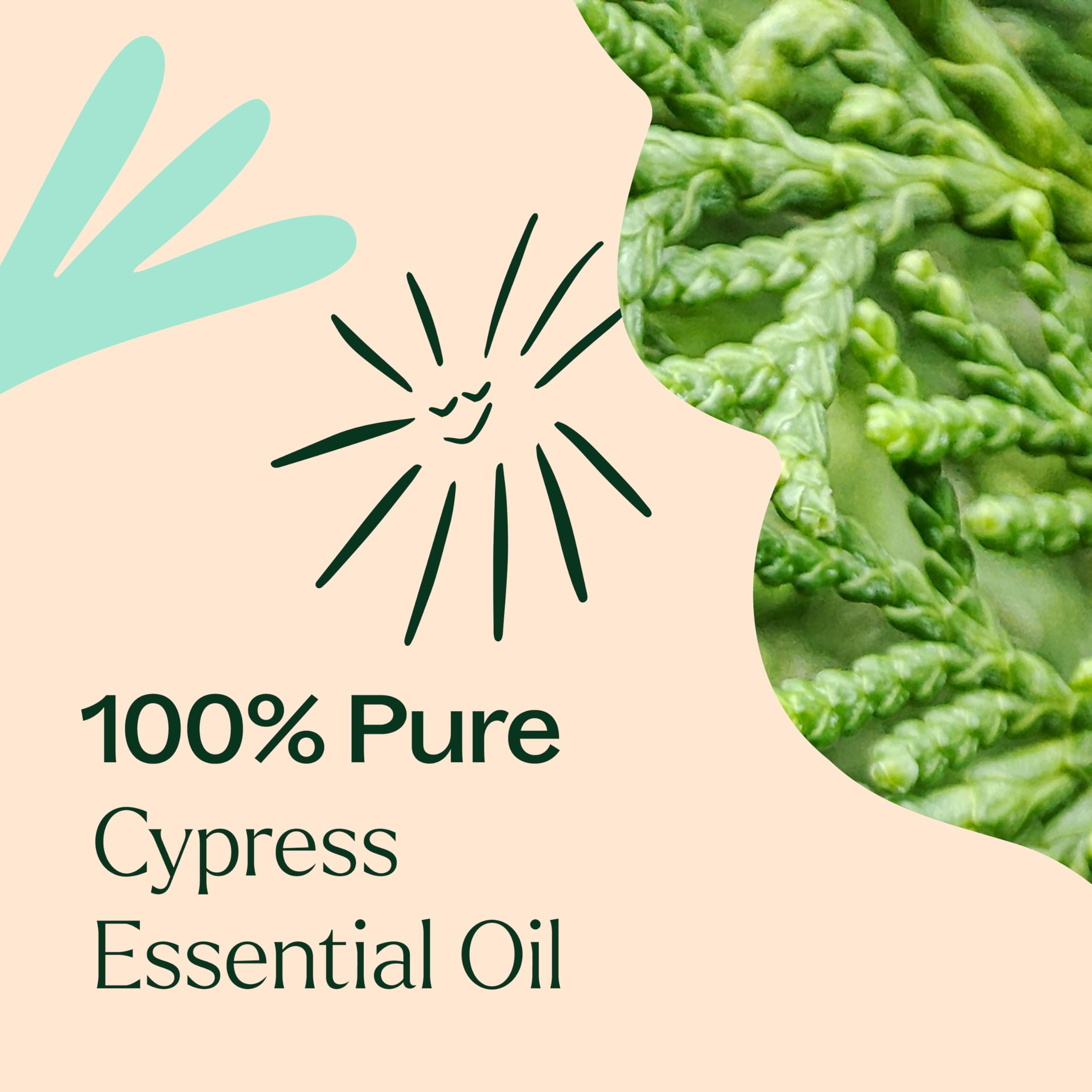 Cypress Essential Oil used in skincare with carrier oil for refreshed skin