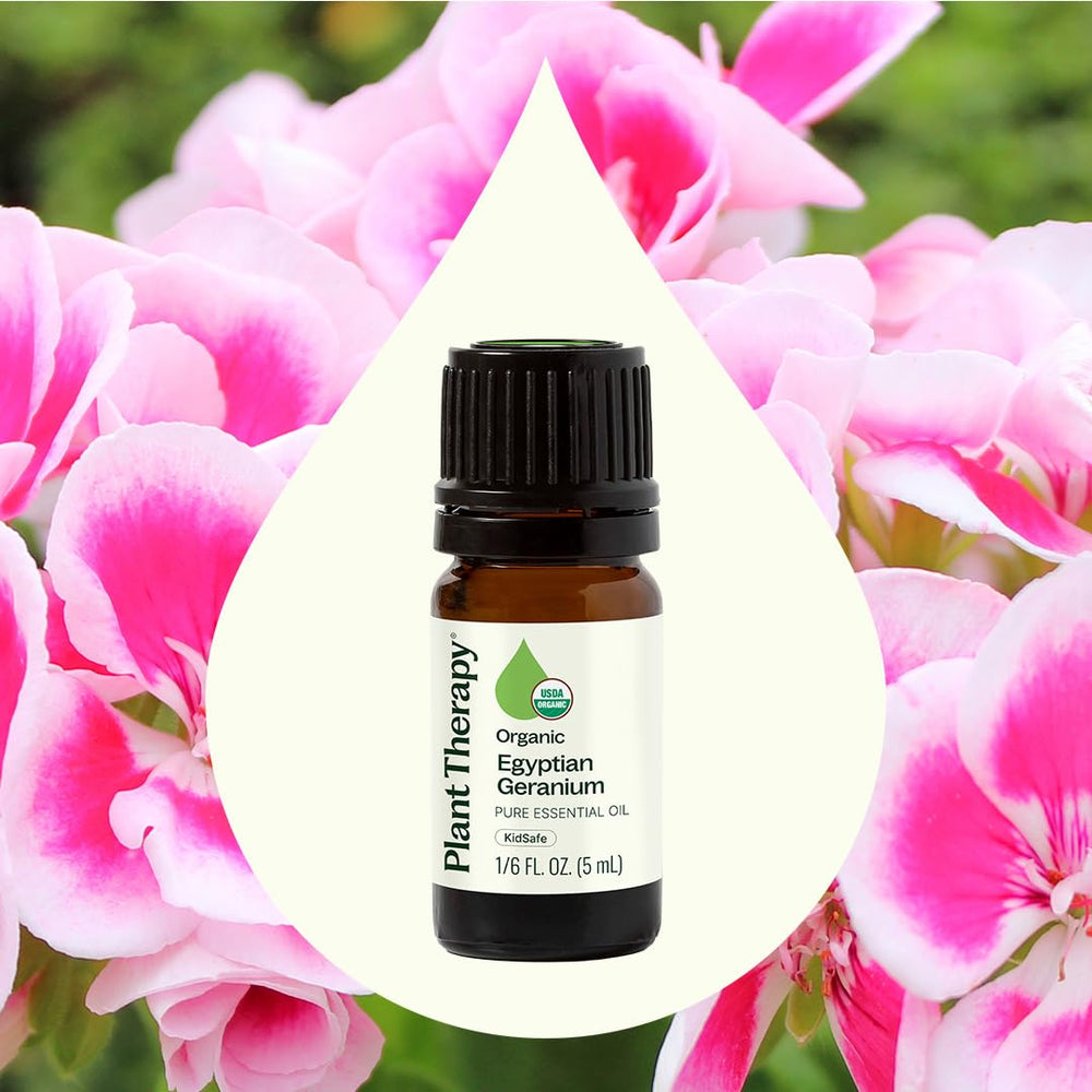 Plant Therapy Egyptian Geranium leaf close-up for natural aromatherapy blends