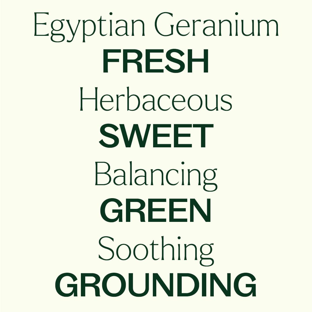 Plant Therapy Egyptian Geranium oil massage application for skin-friendly blends