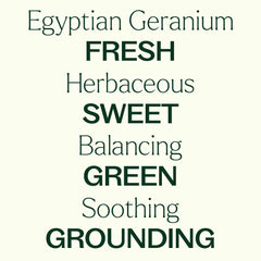 Plant Therapy Egyptian Geranium oil massage application for skin-friendly blends