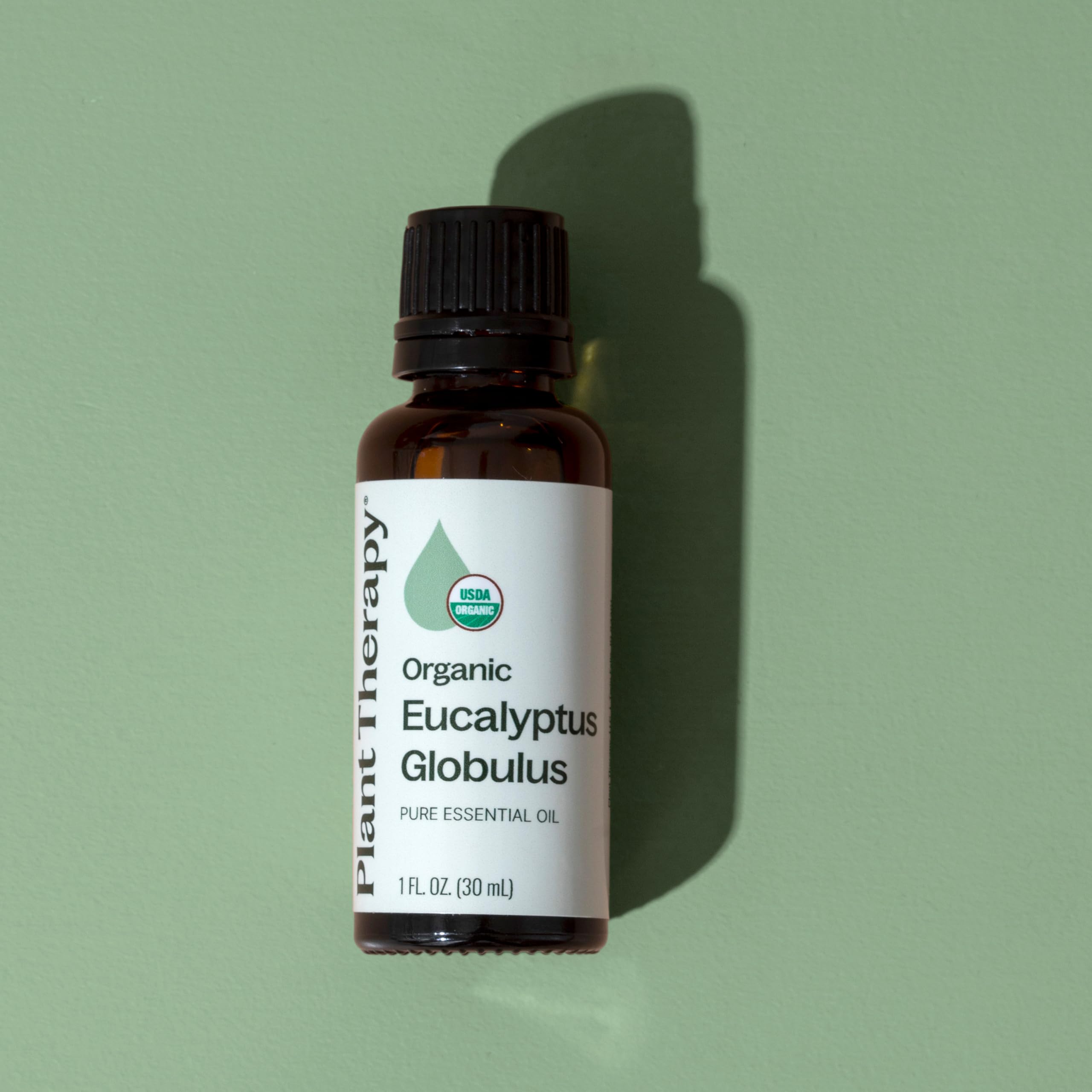 Plant Therapy Eucalyptus Globulus oil amber bottle on display indicating premium packaging.