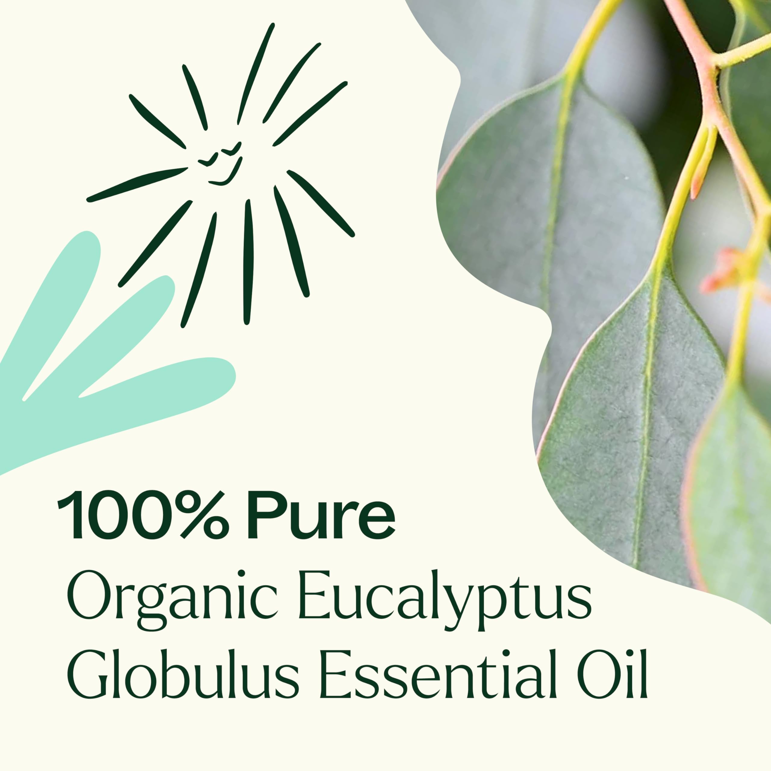 Plant Therapy Eucalyptus Globulus oil label GC-MS note signaling testing and quality awareness.