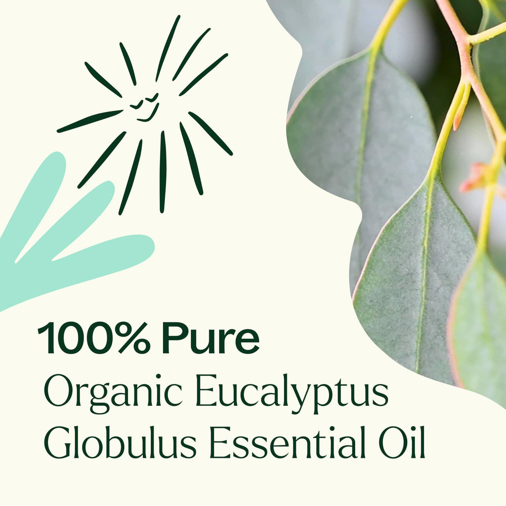 Plant Therapy Eucalyptus Globulus oil label GC-MS note signaling testing and quality awareness.