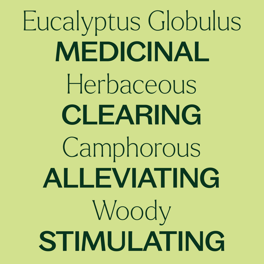 Plant Therapy Eucalyptus Globulus oil leaf distillation illustration highlighting pure extraction.