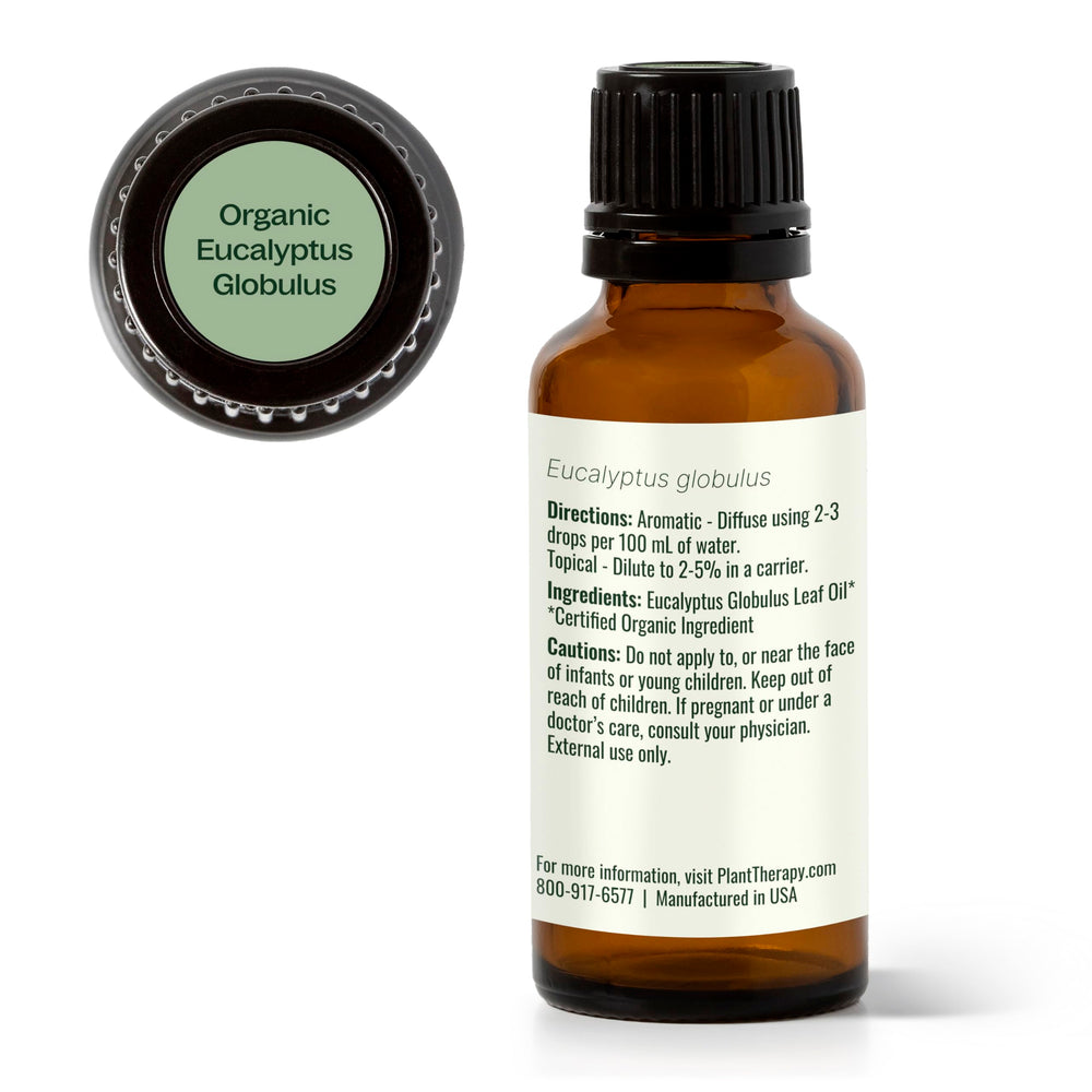 Plant Therapy Eucalyptus Globulus oil scent for refreshing atmosphere and mood enhancement.