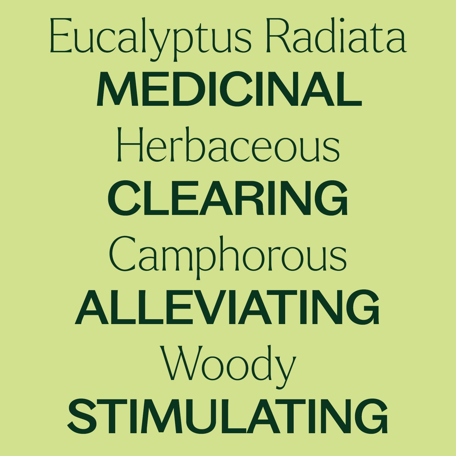Plant Therapy Eucalyptus Radiata bottle and label indicating batch-tested quality