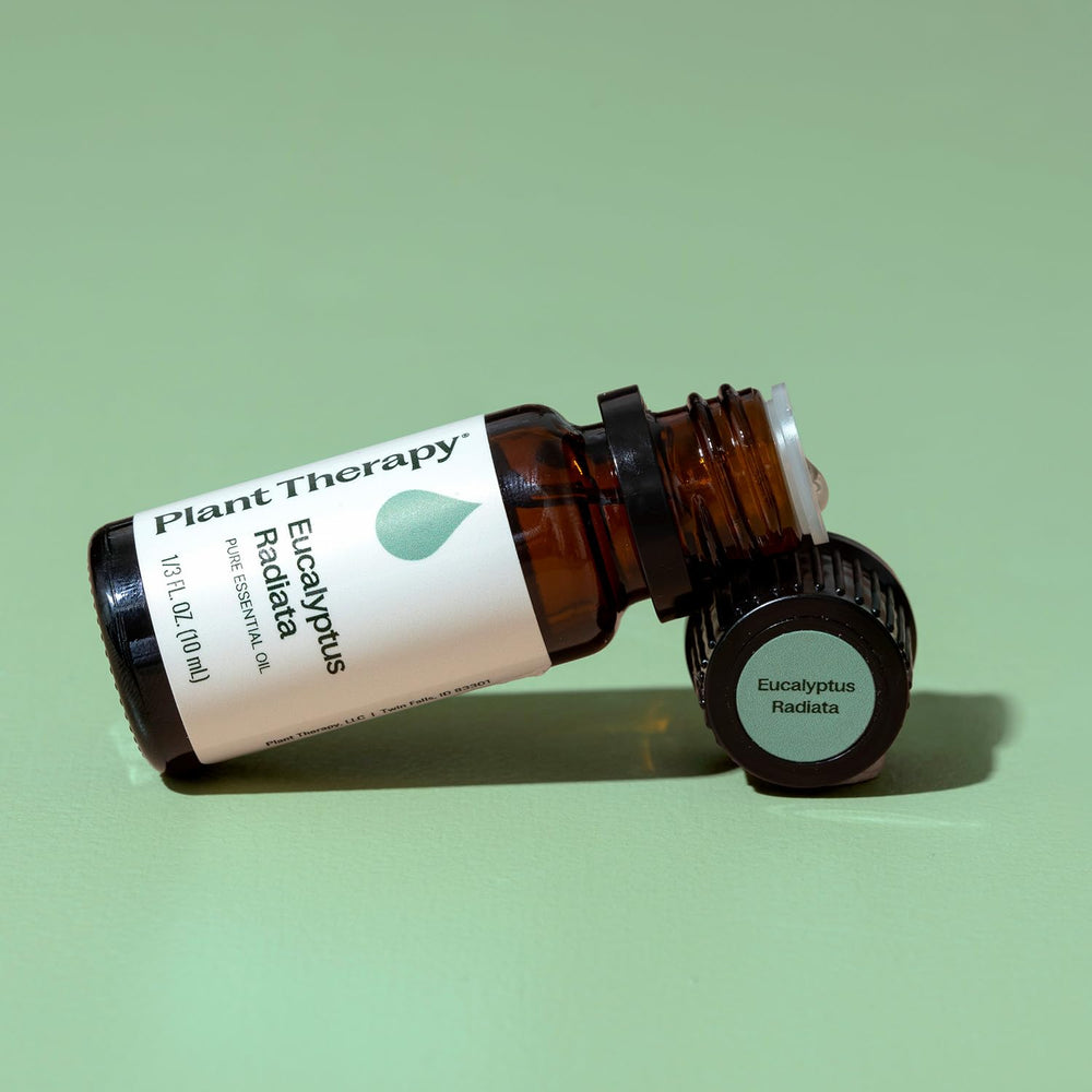 Plant Therapy Eucalyptus Radiata mixed into lotion for seasonal care