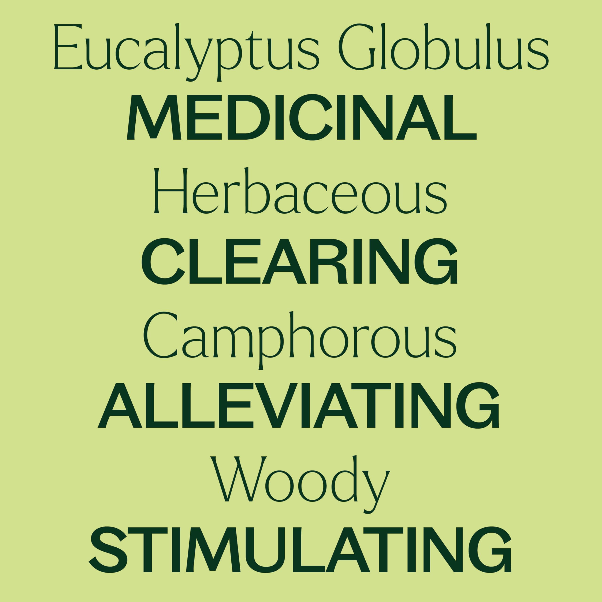 Cap close-up on Plant Therapy Eucalyptus Roll-On highlights secure portability.
