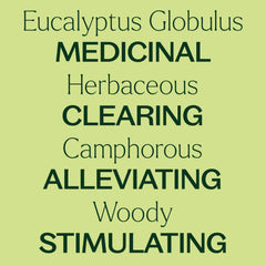 Cap close-up on Plant Therapy Eucalyptus Roll-On highlights secure portability.