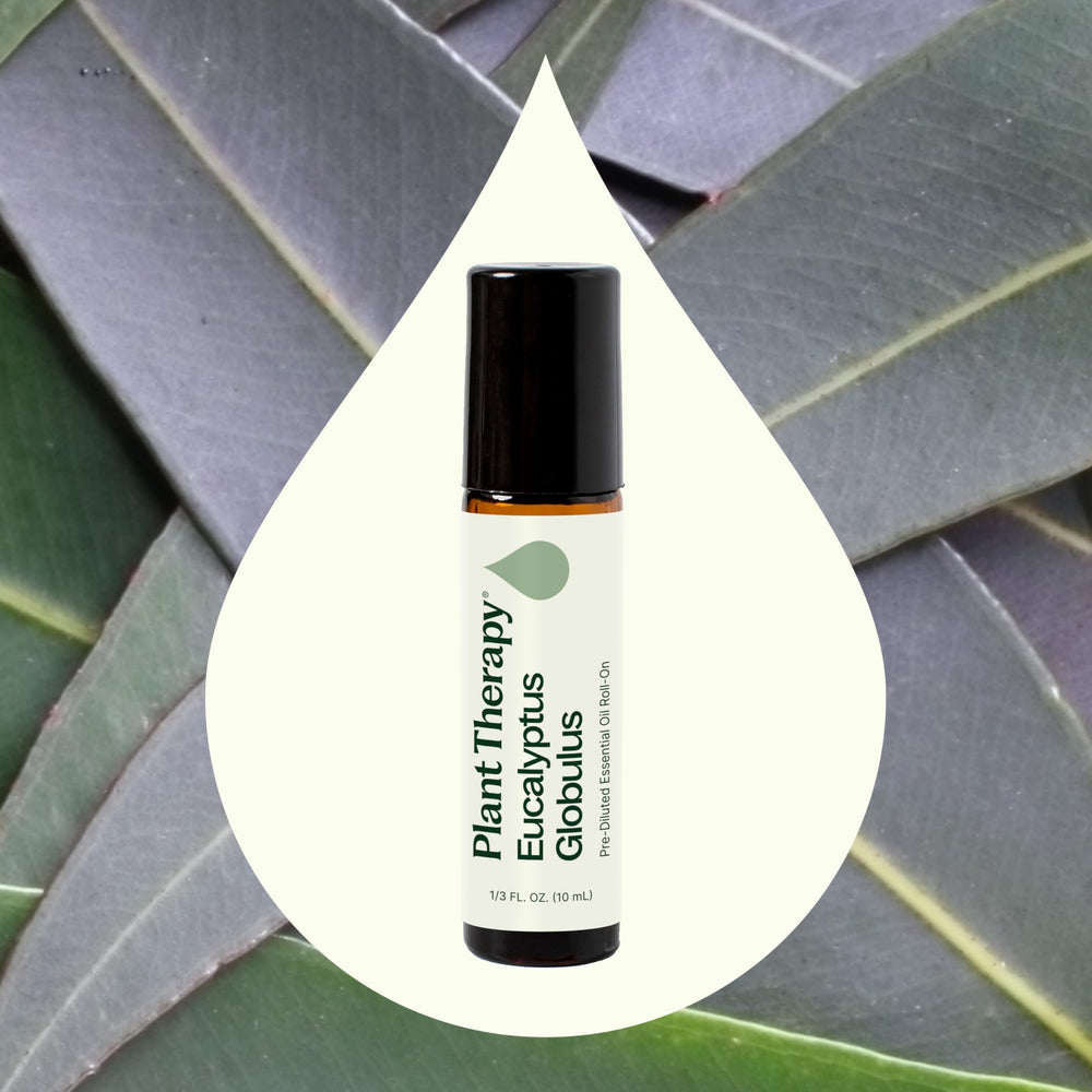 Close-up of Plant Therapy Eucalyptus Roll-On label shows pure oil packaging.