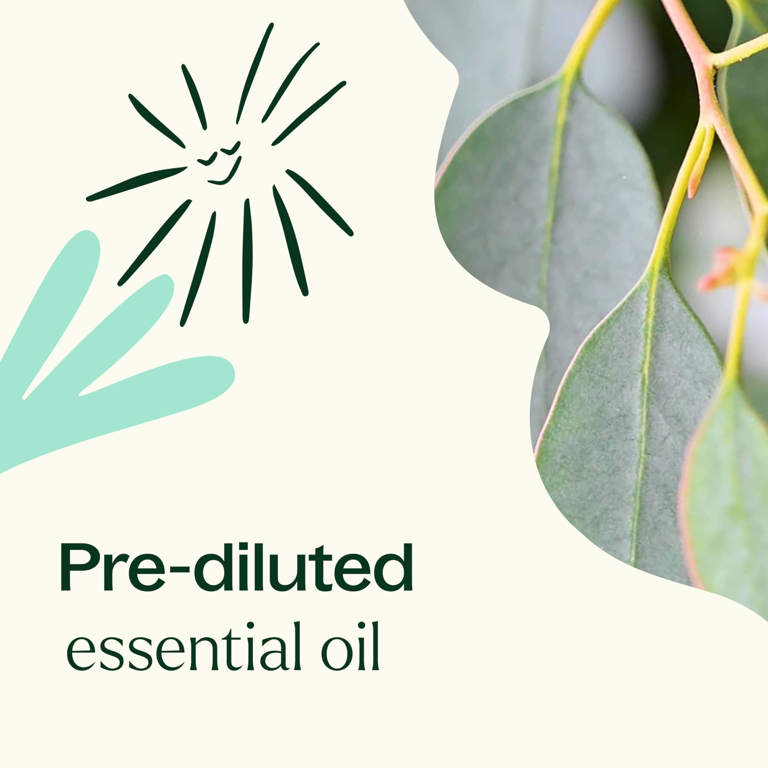 Packaging image reveals travel-ready Plant Therapy Eucalyptus Roll-On and pre-diluted formula.
