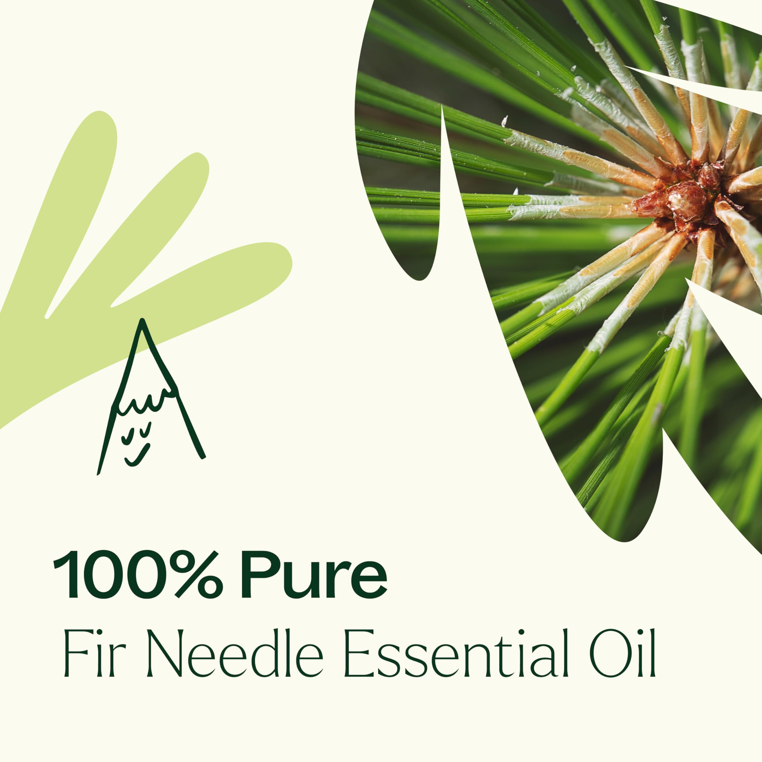 Plant Therapy Fir Needle bottle shown during a breathing routine for refresh.