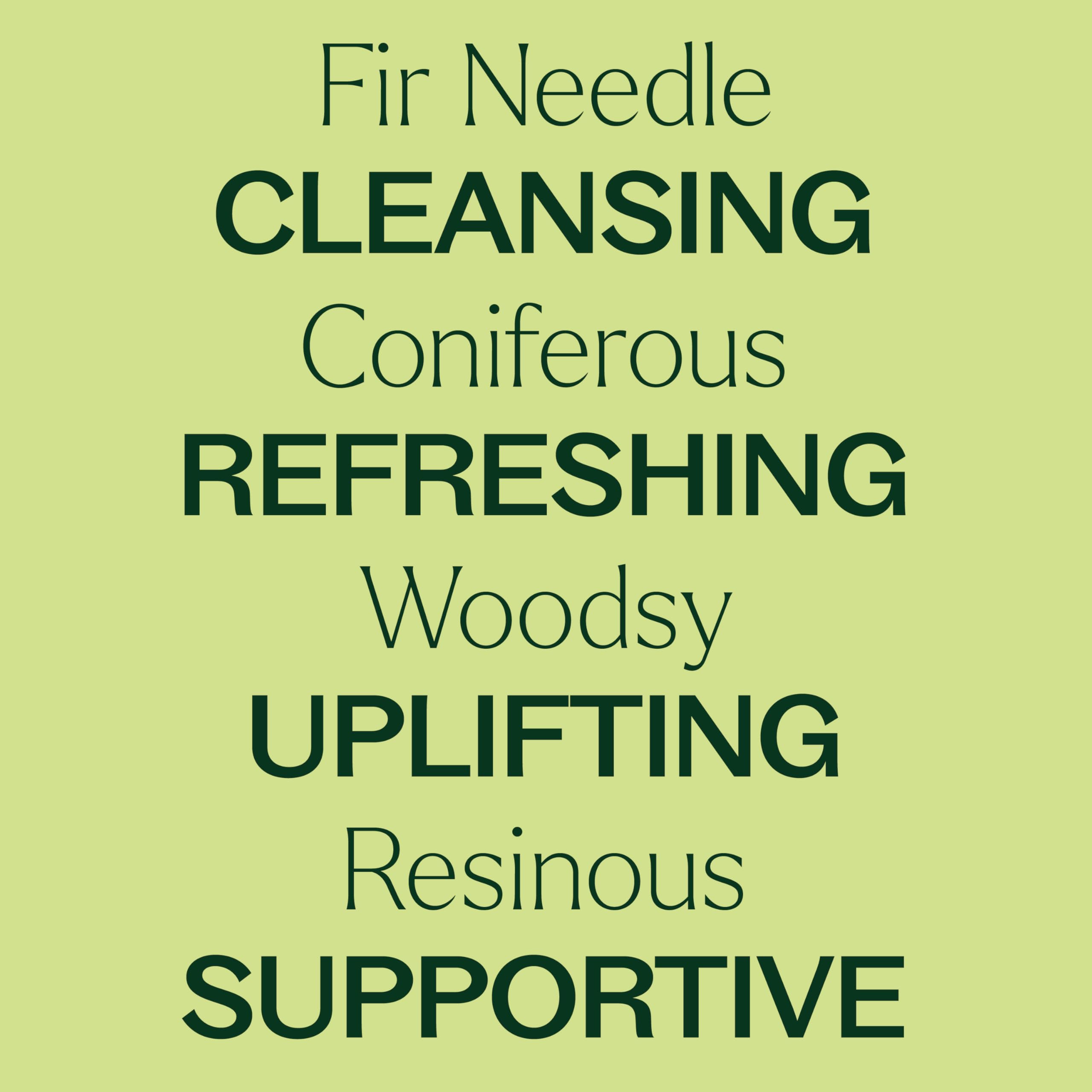 Plant Therapy Fir Needle carrier oil massage enhances relaxation with earthy warmth.