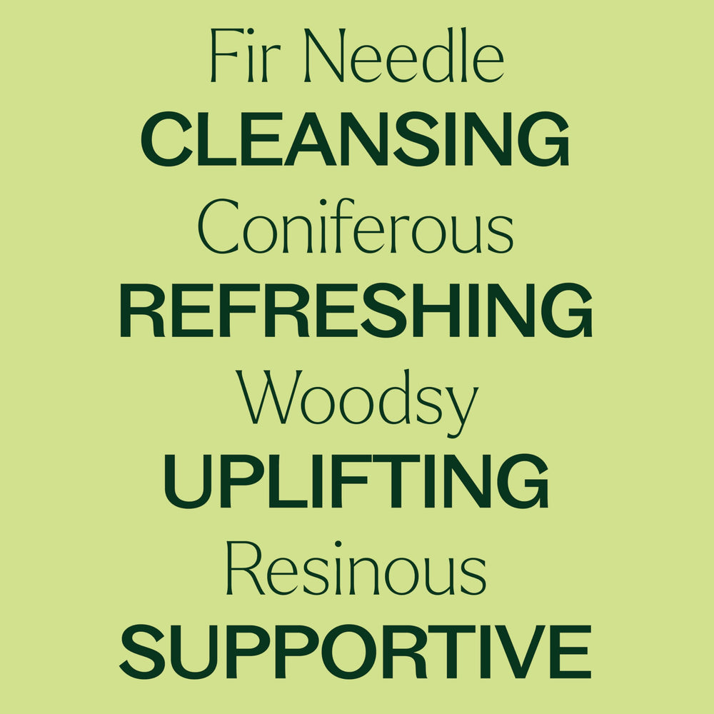 Plant Therapy Fir Needle carrier oil massage enhances relaxation with earthy warmth.