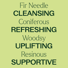 Plant Therapy Fir Needle carrier oil massage enhances relaxation with earthy warmth.