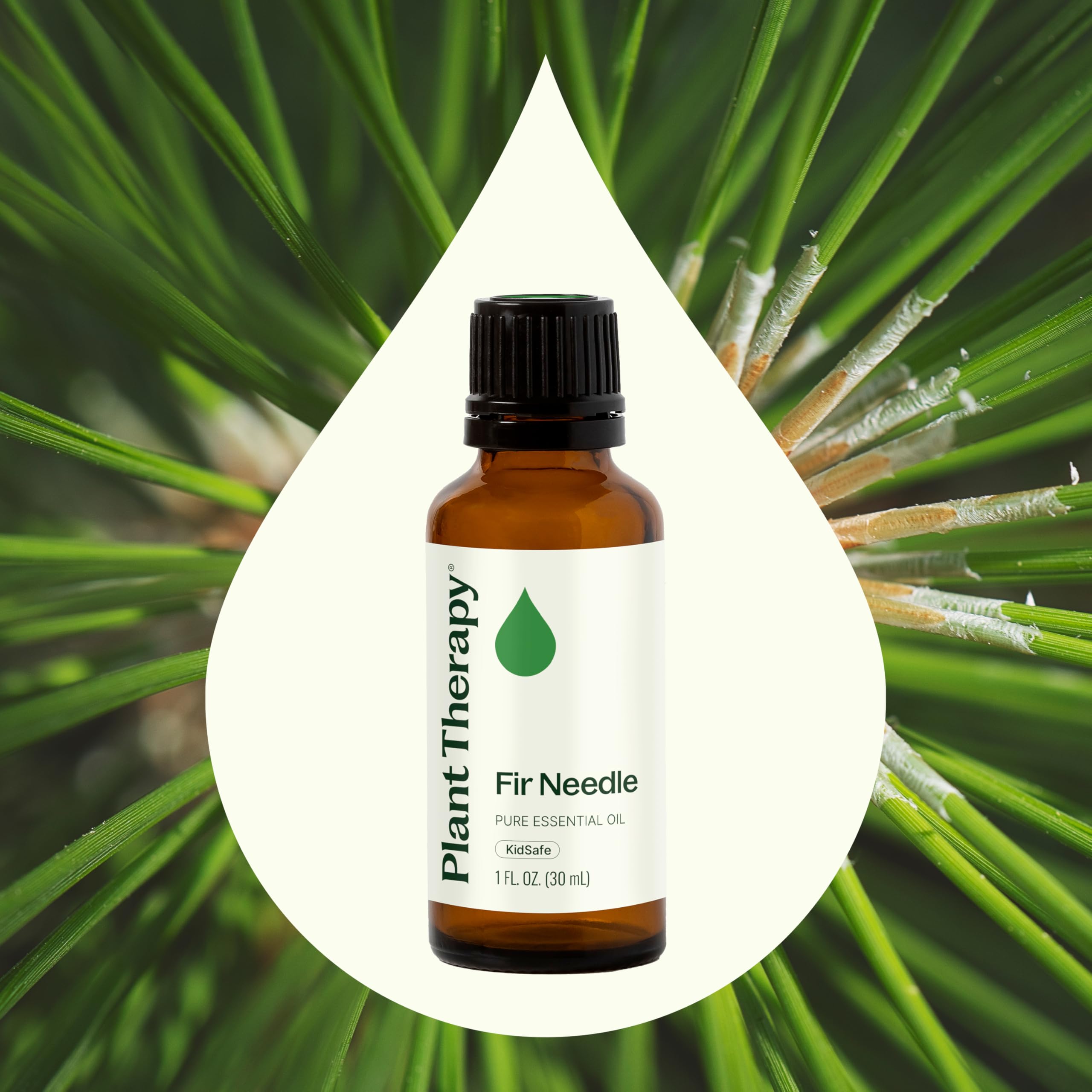 Plant Therapy Fir Needle steam inhalation invites a gentle breathing refresh.