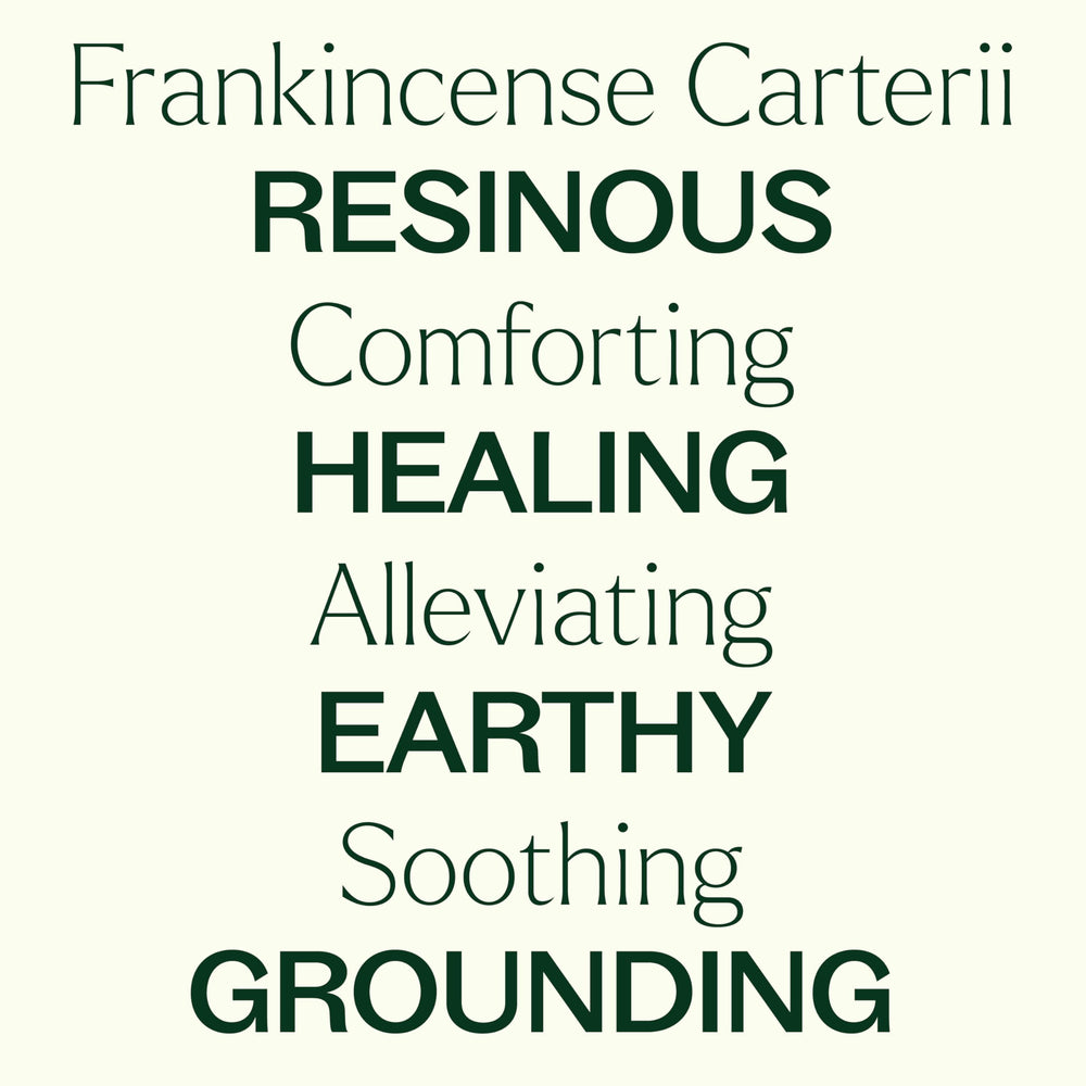 Plant Therapy Frankincense Carterii diffuser mist suggests tranquil ambiance