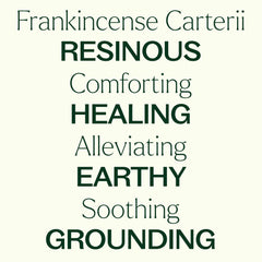 Plant Therapy Frankincense Carterii diffuser mist suggests tranquil ambiance