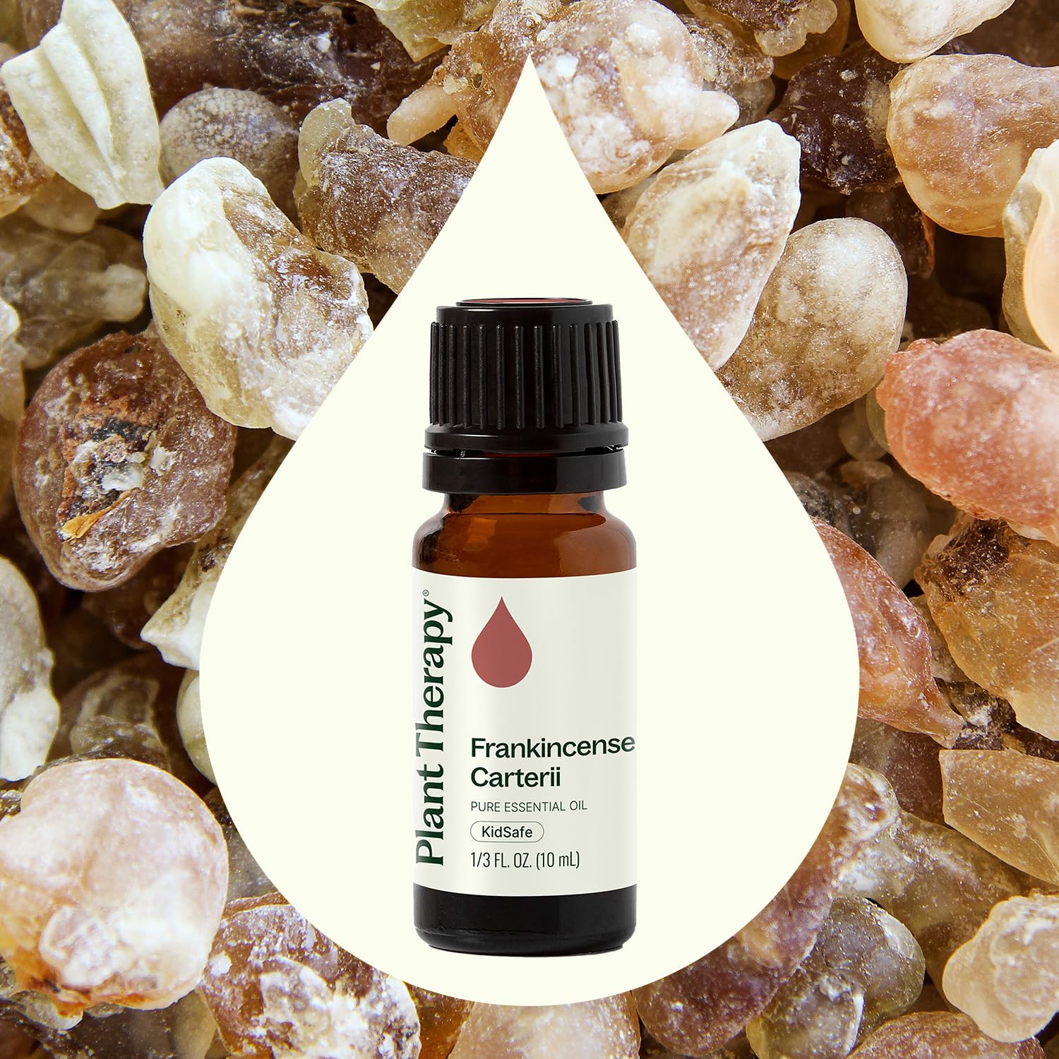 Plant Therapy Frankincense Carterii packaging on shelf signals premium quality