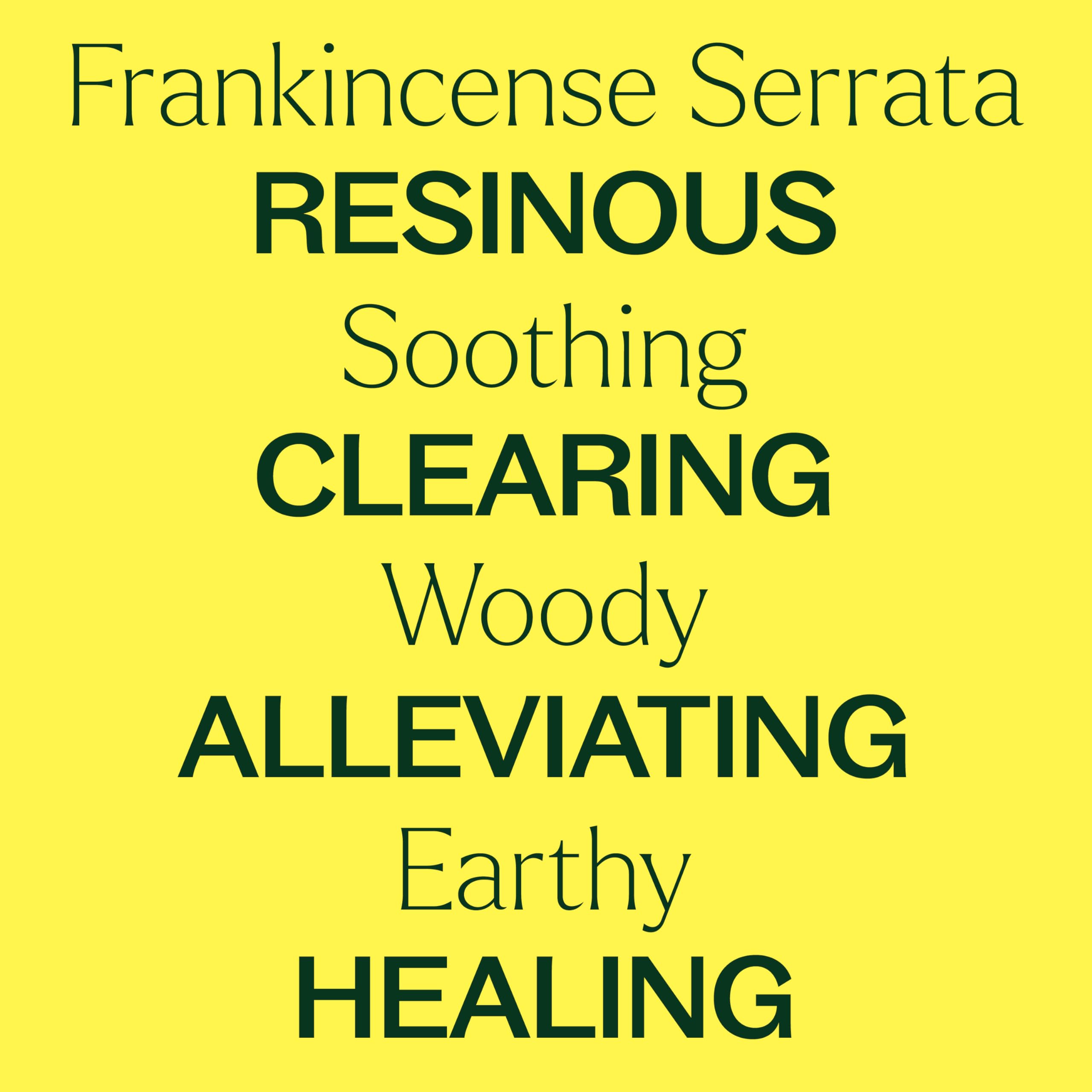 Plant Therapy Frankincense Serrata oil diffuser image promotes a relaxing aroma in any room.