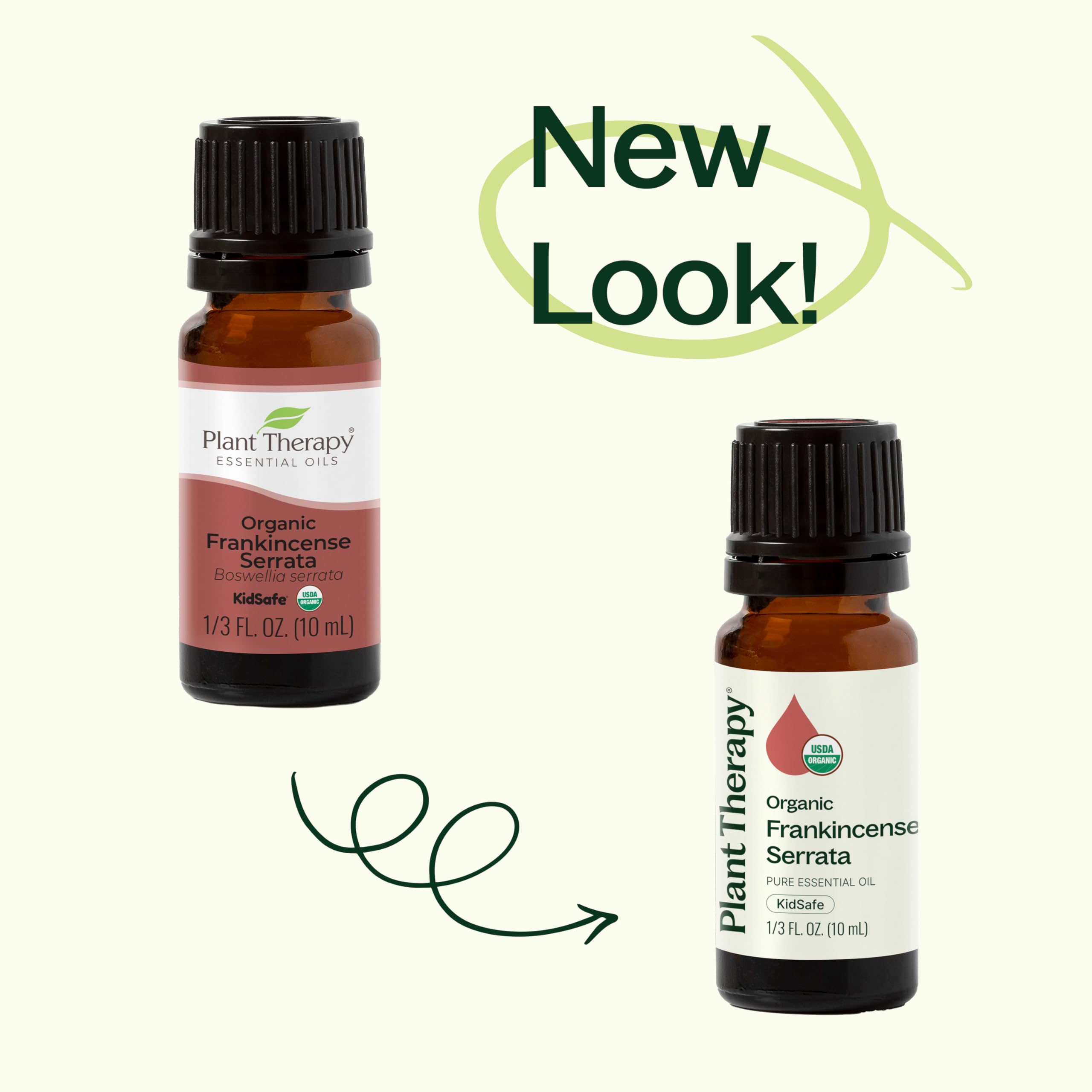 Plant Therapy Frankincense Serrata oil used in massage blends with soothing feel.