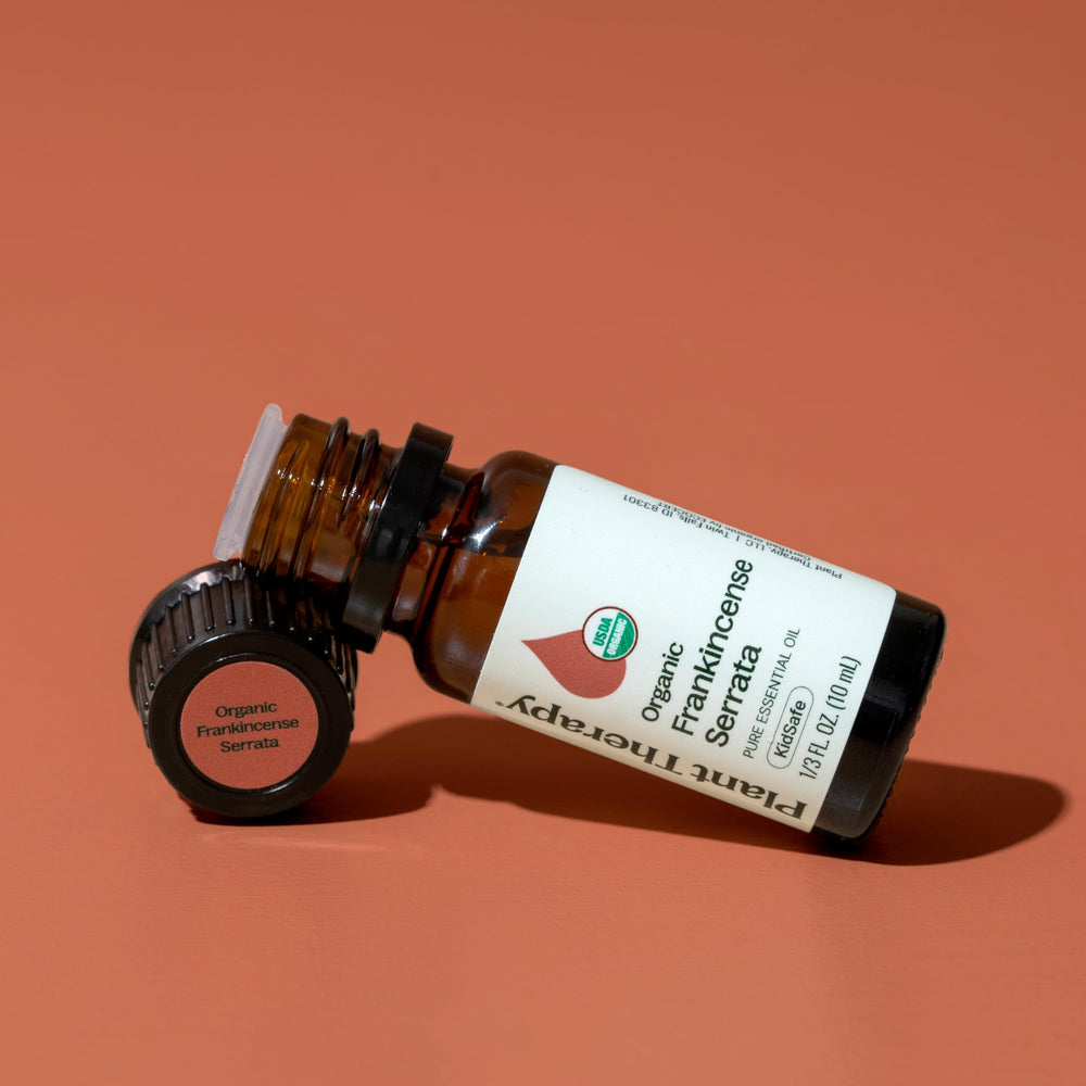 Plant Therapy Frankincense Serrata oil scene supports meditation practice and mindful breathing.
