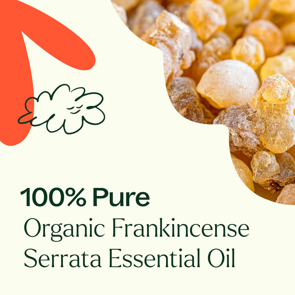 Plant Therapy Frankincense Serrata oil with carrier oil for skin nourishment.