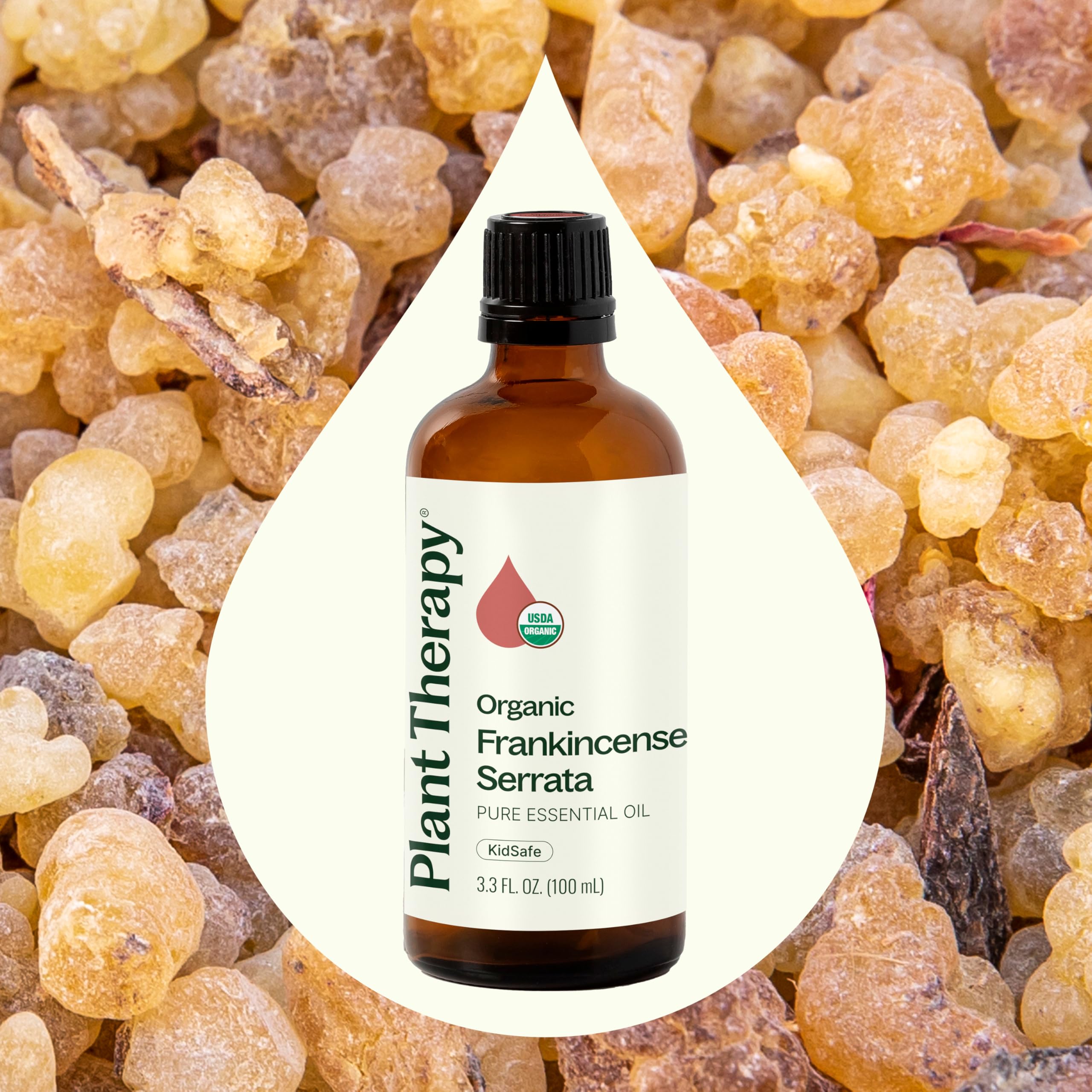 Closeup of Plant Therapy Frankincense Serrata dropper for precise, mess-free dosing.