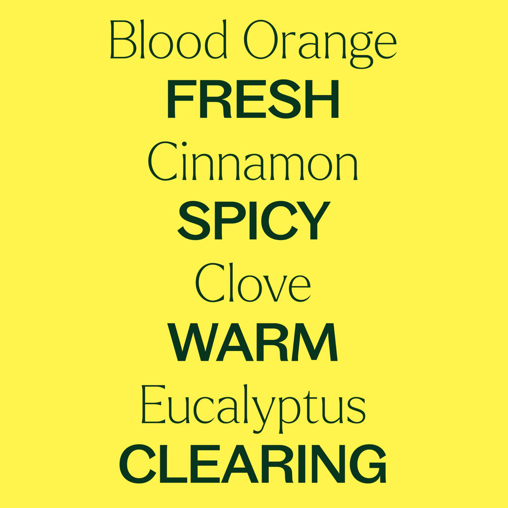 Close-up of Germ Fighter ingredients: lemon, clove, eucalyptus, cinnamon, rosemary.