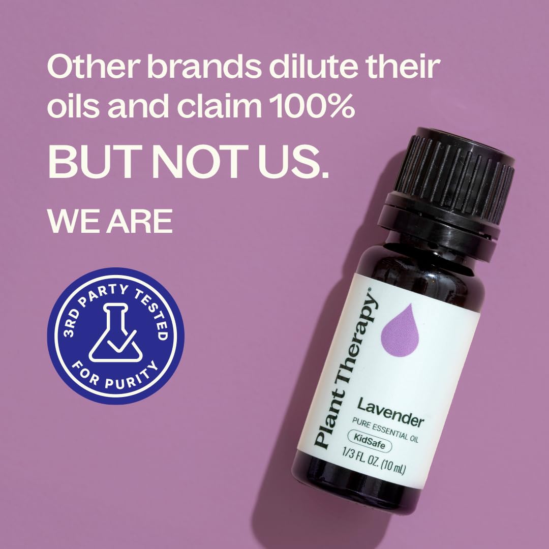 Aerated Plant Therapy Lavender Oil bottle with balanced aroma.