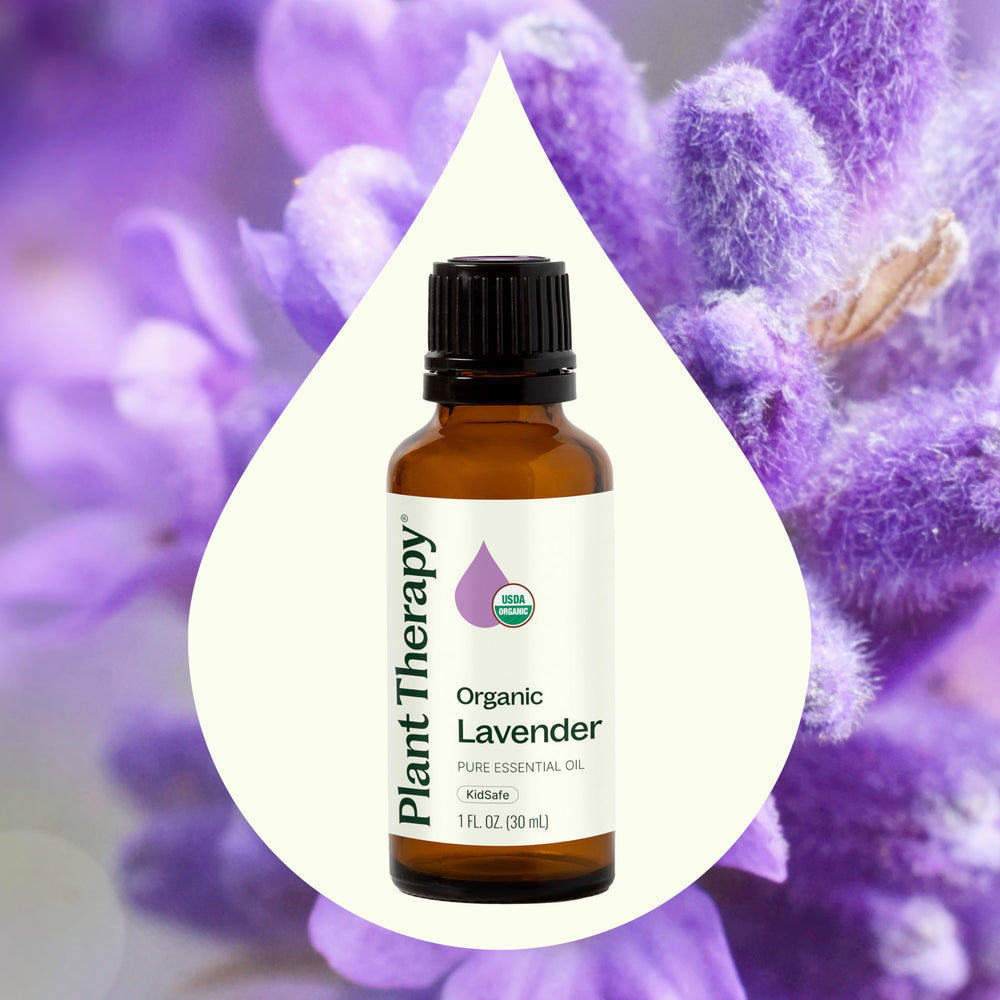 Plant Therapy lavender oil drops ready for topical dilution.
