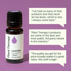 Plant Therapy Lavender Oil used in hair care for scalp comfort.