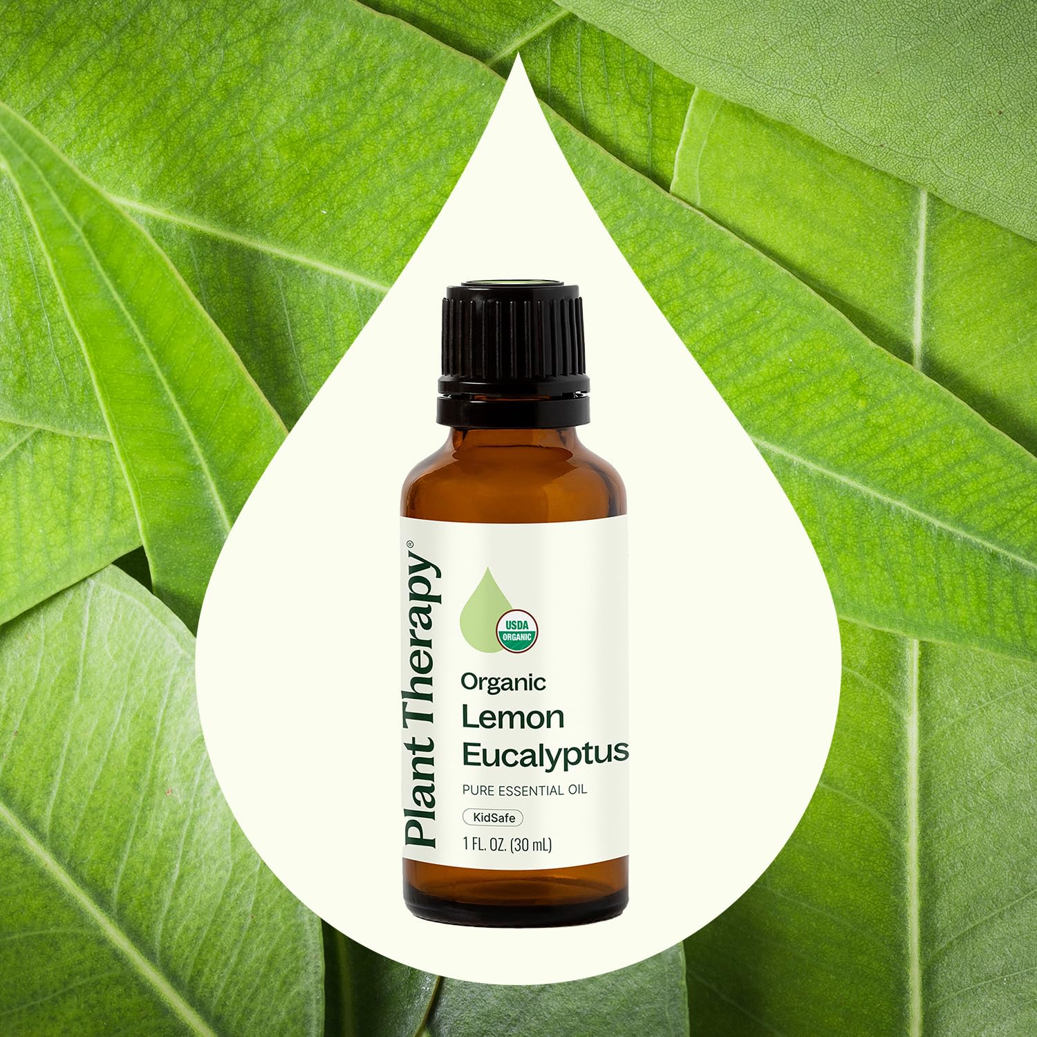 Diffuser setup with Plant Therapy lemon eucalyptus oil creating a fresh aroma