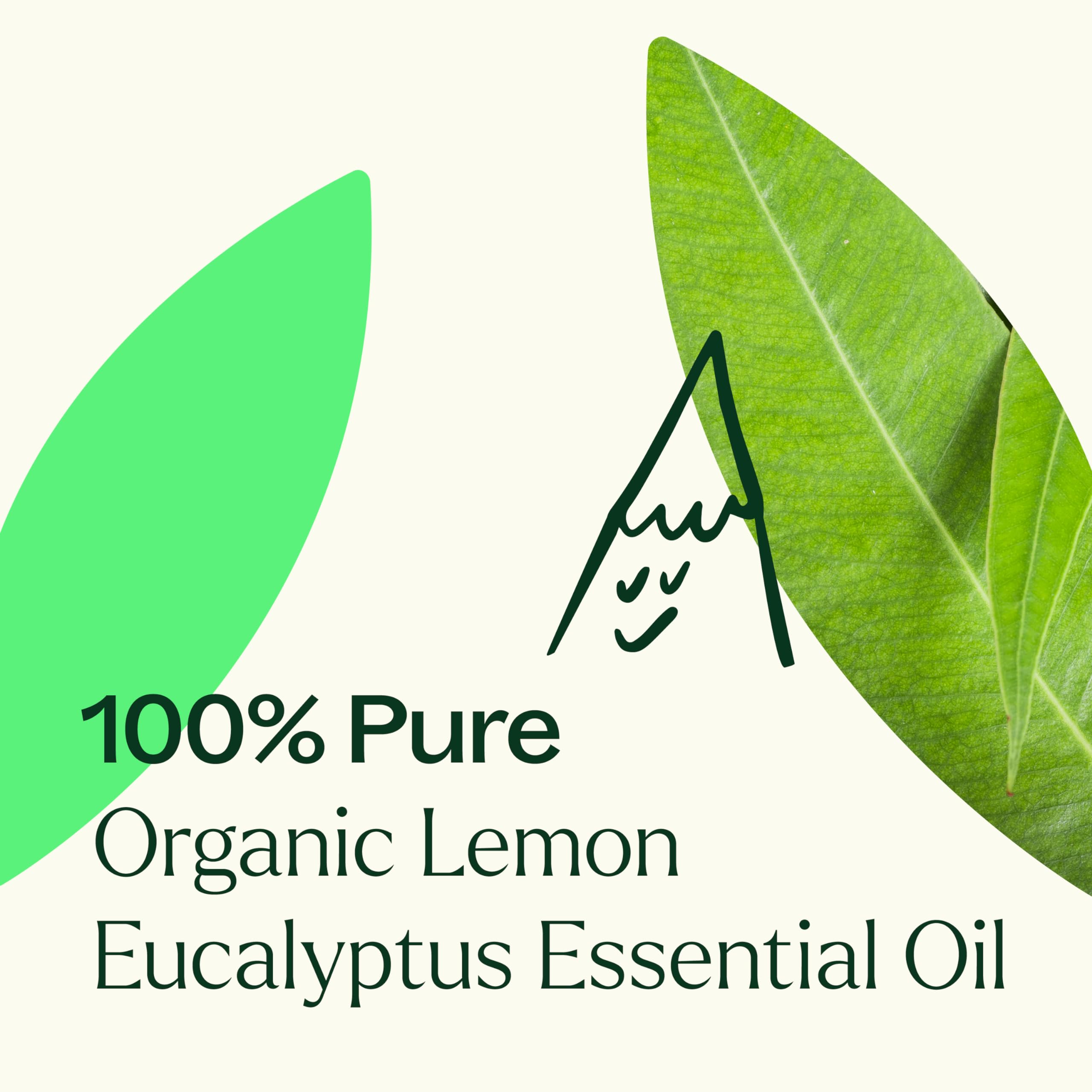Madagascar origin map concept beside Plant Therapy essential oil