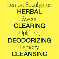 Lemon eucalyptus oil being blended with a carrier for topical use