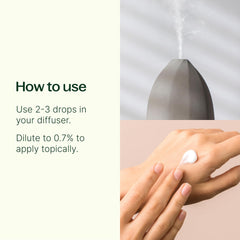 Plant Therapy lemongrass oil diffuser scene with bright citrus scent uplift.