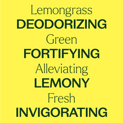 Steam distillation depiction for Plant Therapy lemongrass oil.