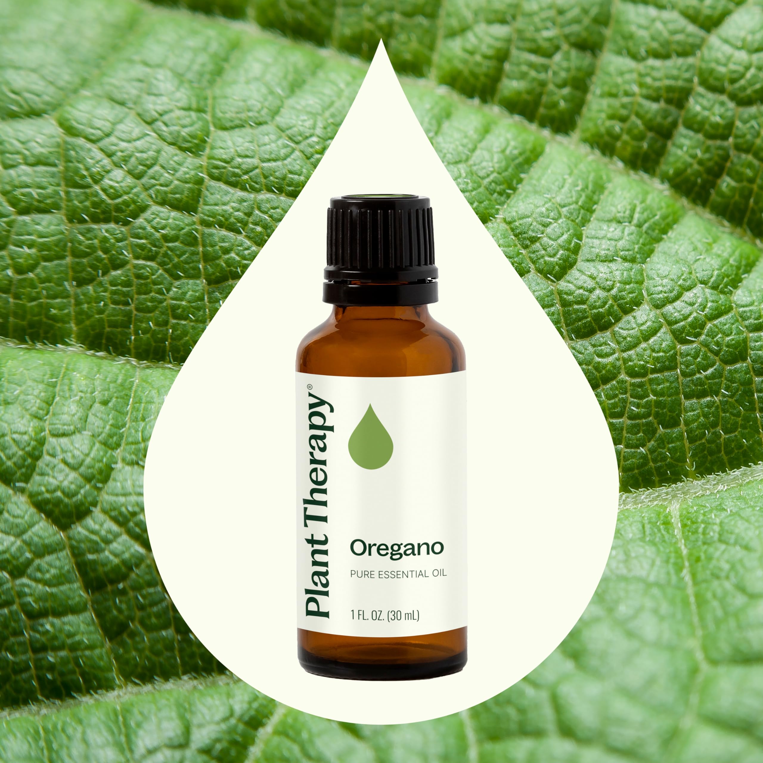 Plant Therapy oregano oil diffusing in a diffuser for aroma ambience