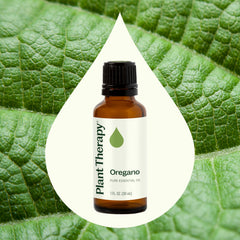 Plant Therapy oregano oil diffusing in a diffuser for aroma ambience