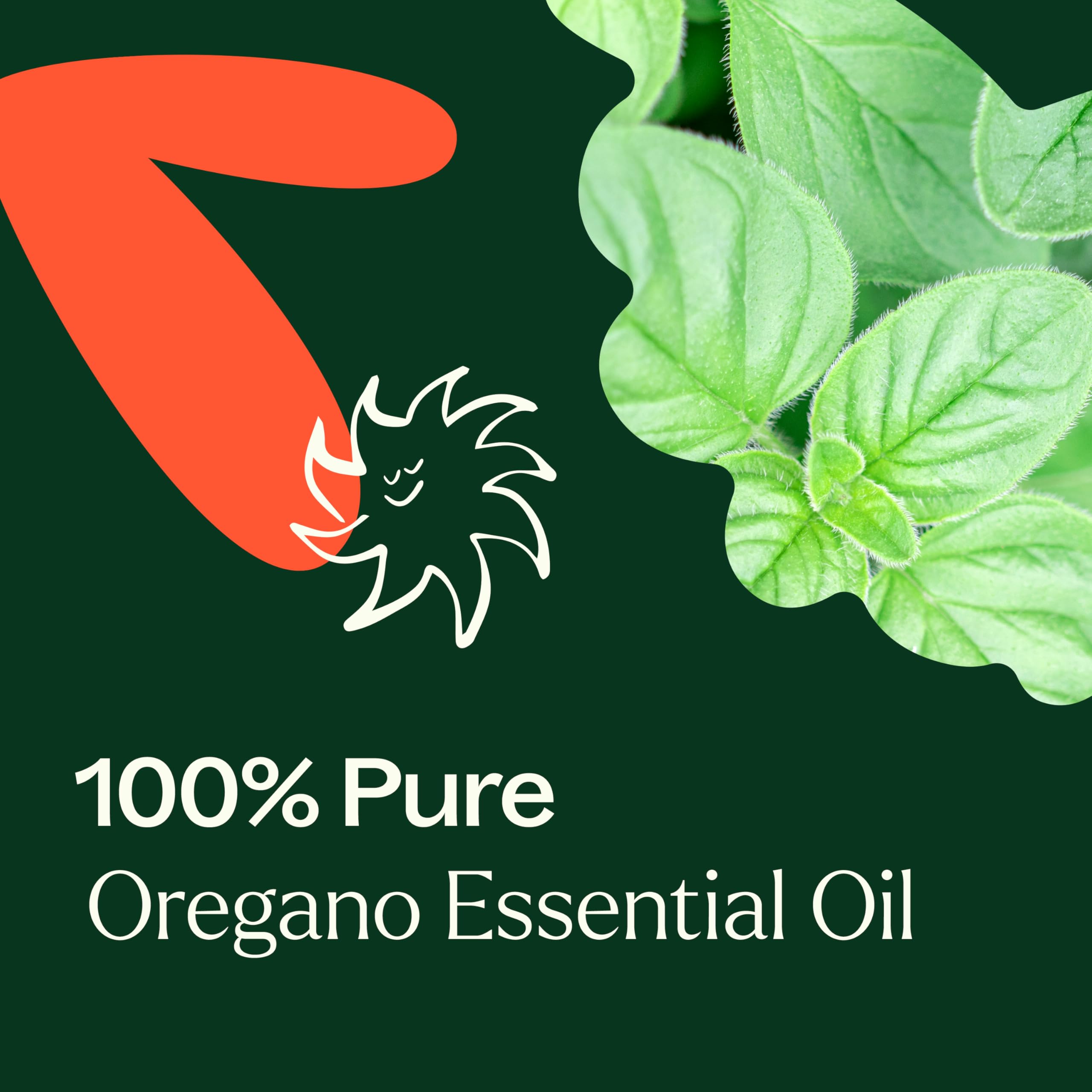Plant Therapy oregano oil in hand illustrating portability and ease of use