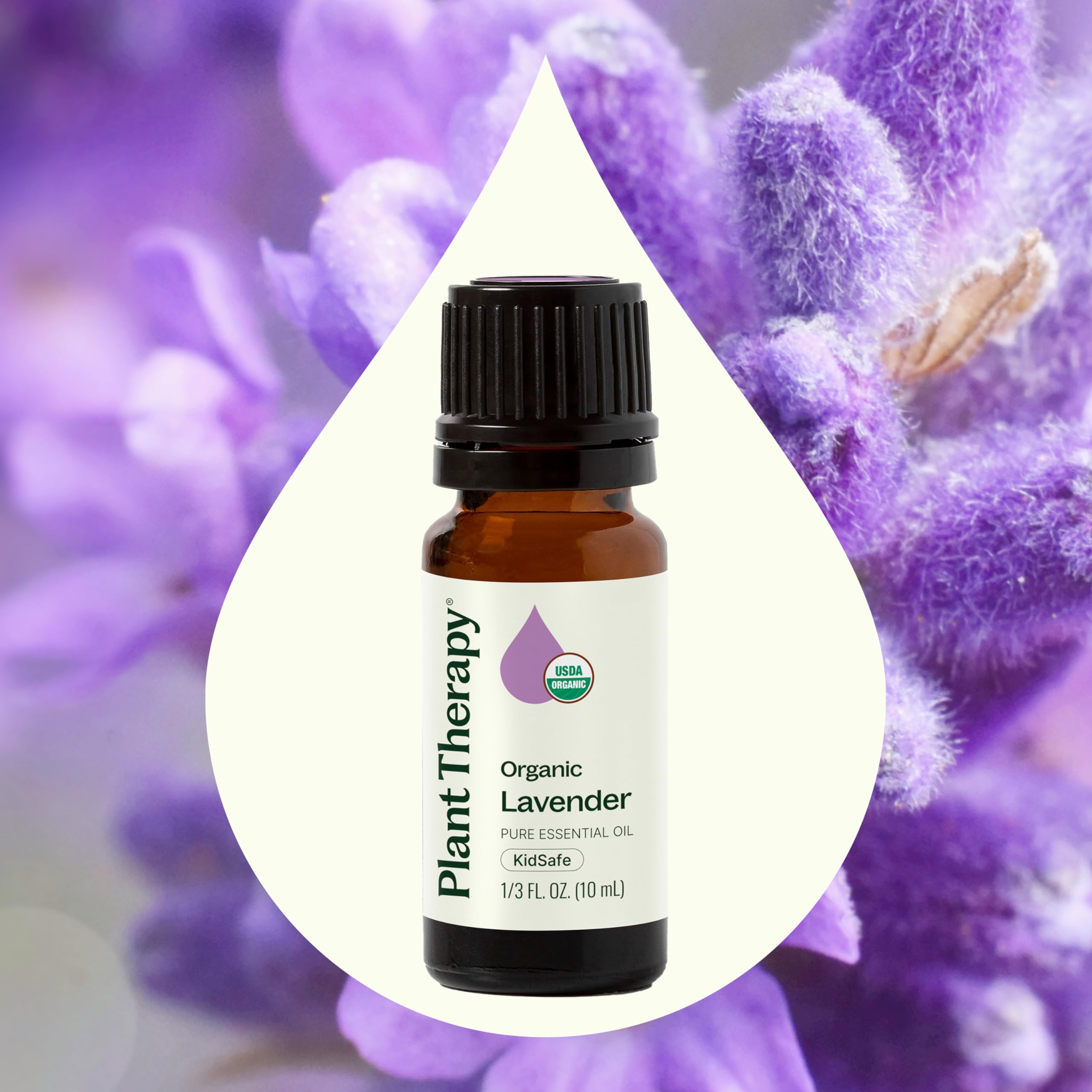 Plant Therapy Organic Lavender Essential Oil being diffused for a restful ambiance.