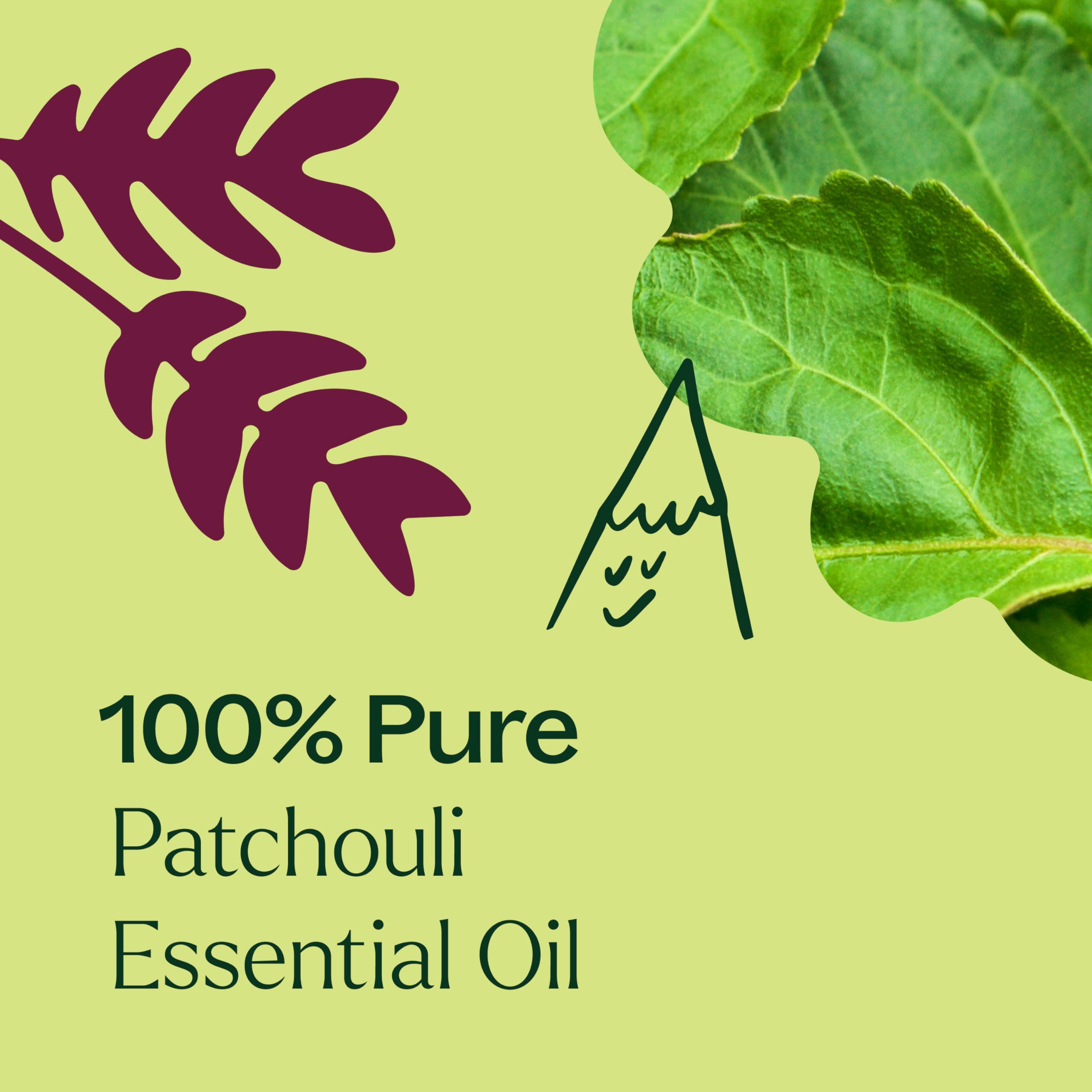 Cap and bottle of Plant Therapy Patchouli oil in premium packaging.