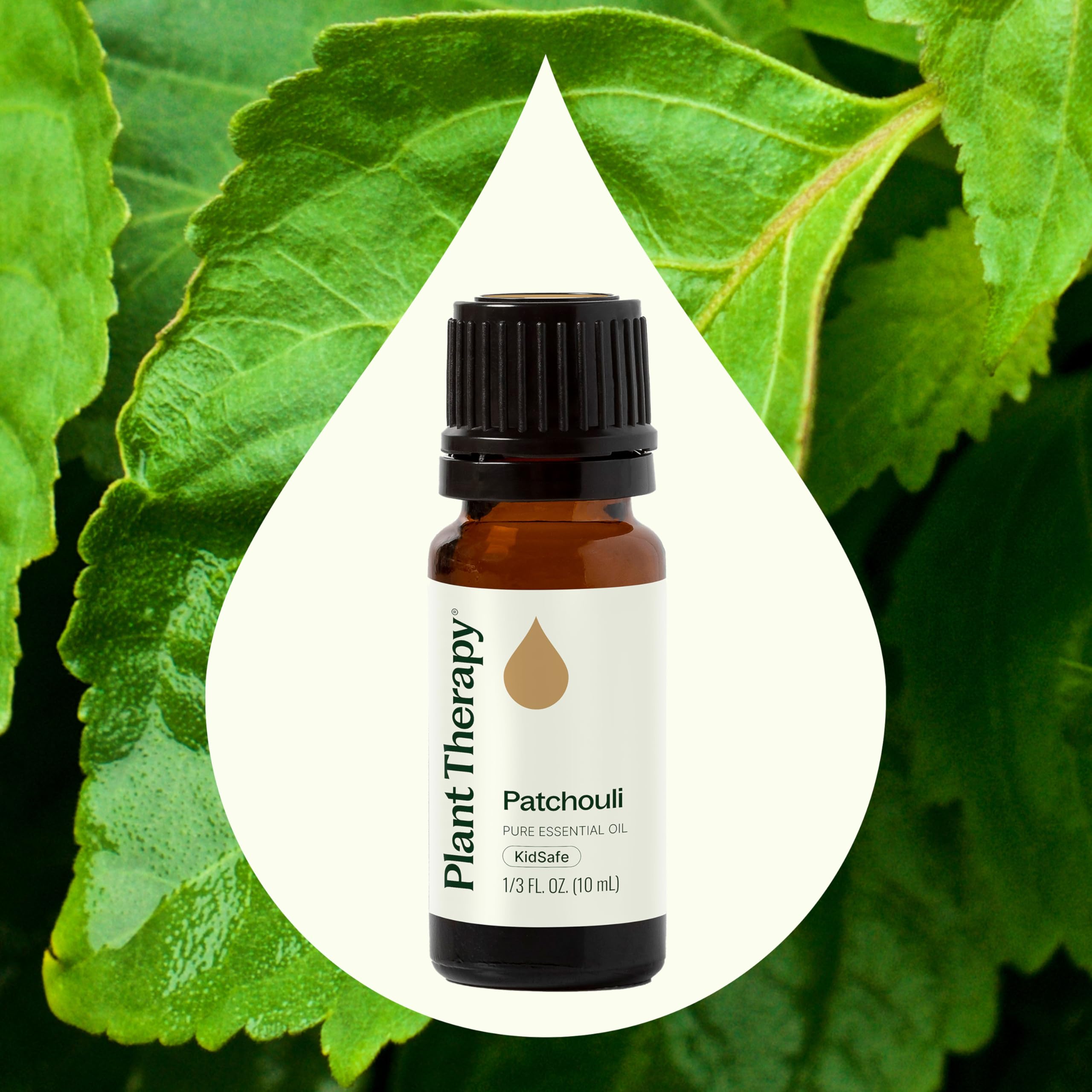 Pouring Plant Therapy patchouli oil from a bottle to blend massages.