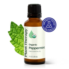 Plant Therapy peppermint oil diffuser setup emitting a crisp, energizing scent.
