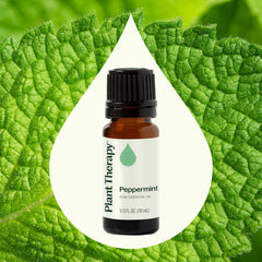 Plant Therapy peppermint oil dropper prepared for precise topical use