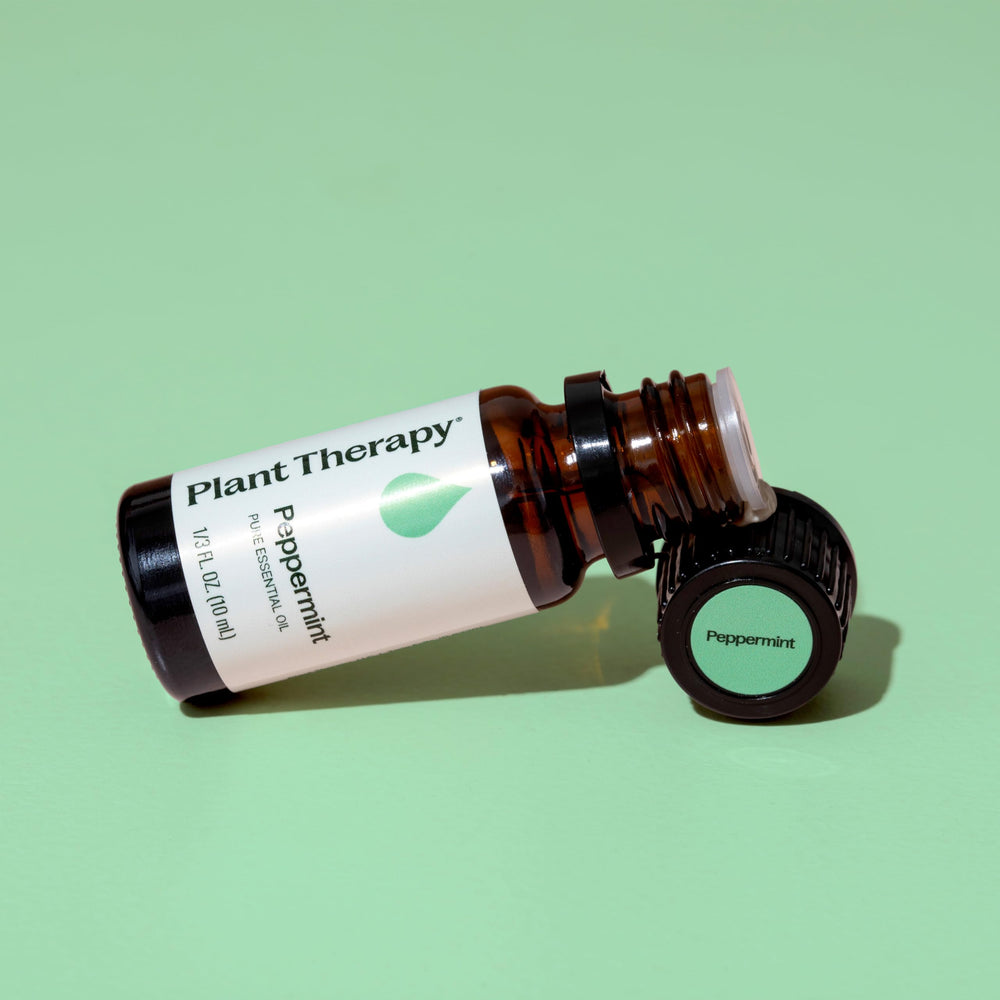 Steam-distilled Plant Therapy peppermint oil for purity and aroma