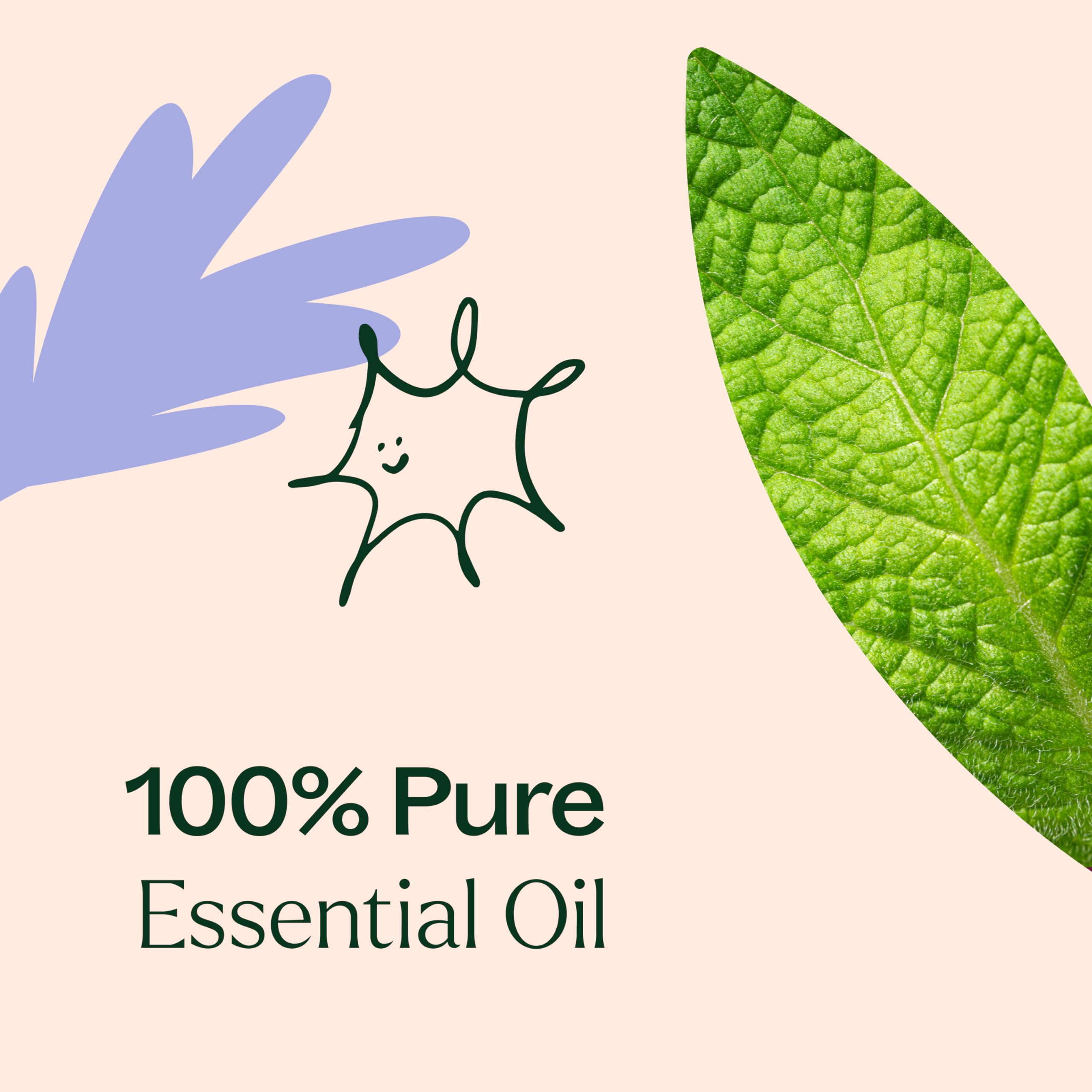 GC-MS report from Plant Therapy confirms quality and purity of Respir Aid oils.