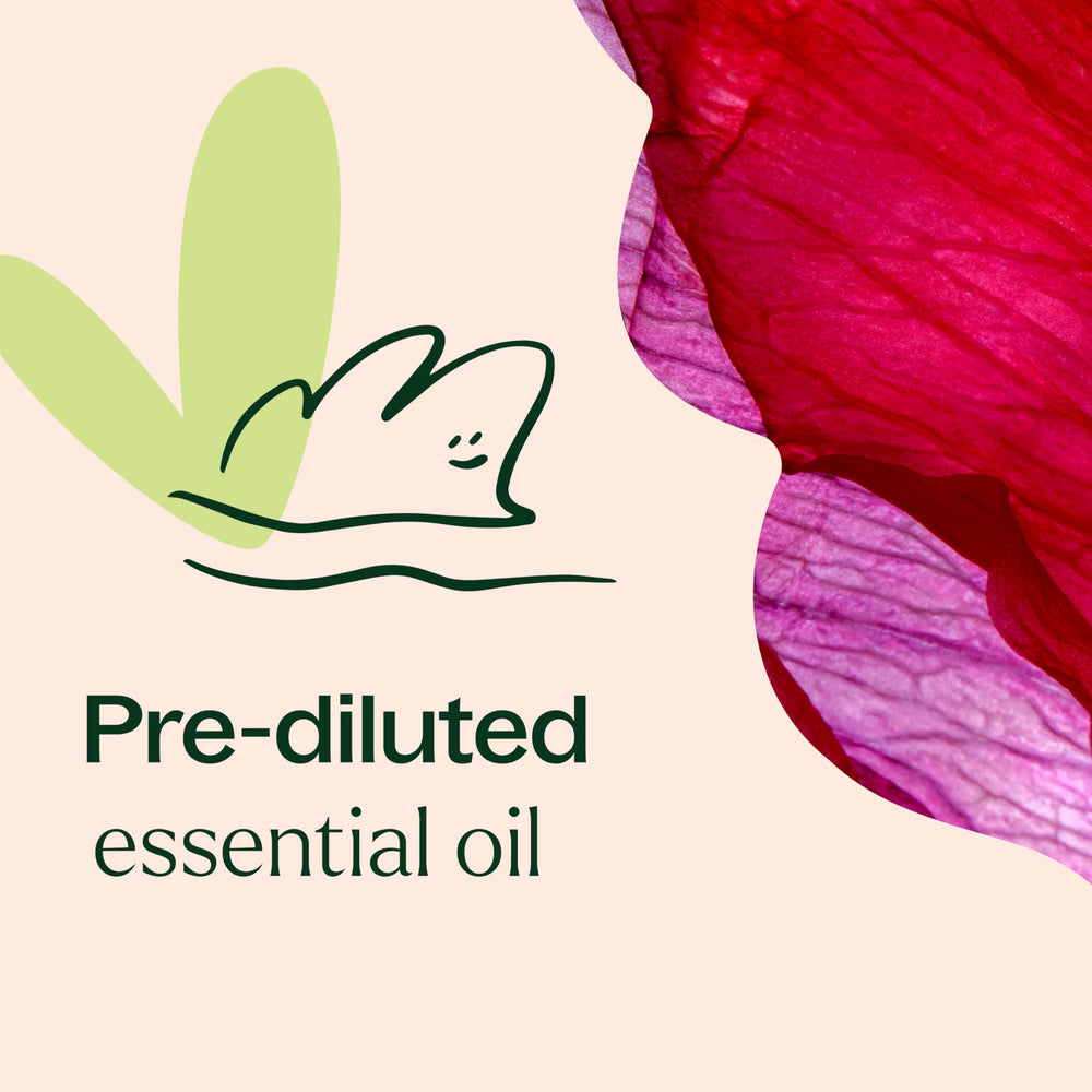Plant Therapy Rose Absolute drops on skin demonstrate quick scent release.
