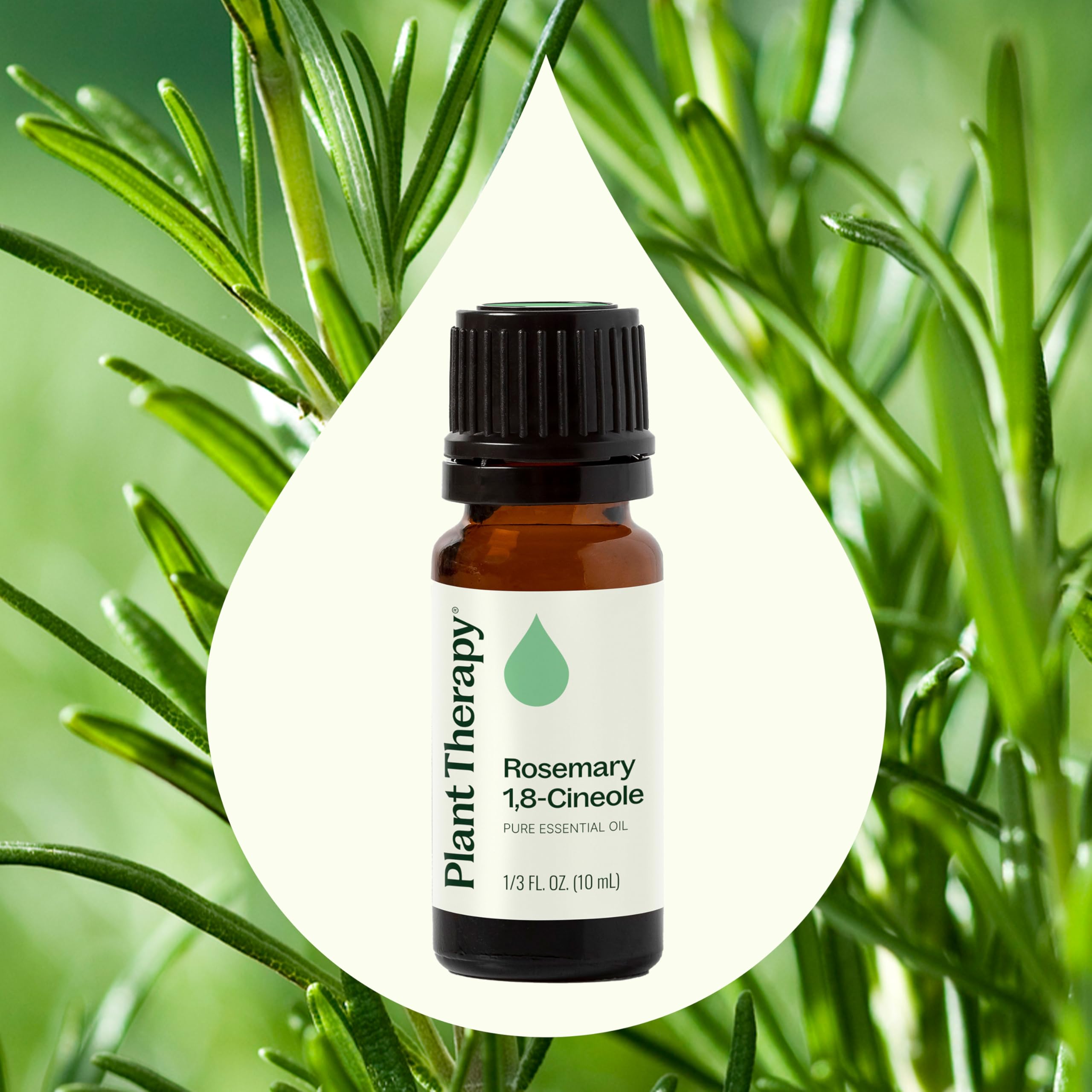 Plant Therapy rosemary oil diffuser setup to refresh rooms.